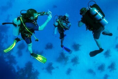 Scuba Diving Tour From Kusadasi / Selcuk - Your Up to 25 Minutes Underwater: Real Time, Not a Demo
