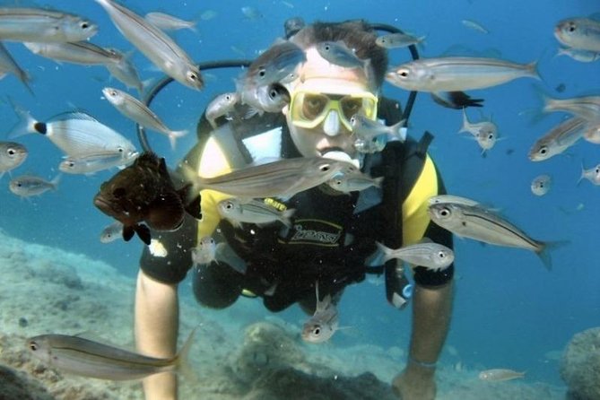 Scuba Diving Tour From Kusadasi / Selcuk - Timing, Group Size, and the Cruise-Safe Return