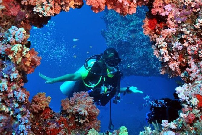 Scuba Diving Tour From Kusadasi / Selcuk - Price and Logistics: When This Tour Feels Like Good Value
