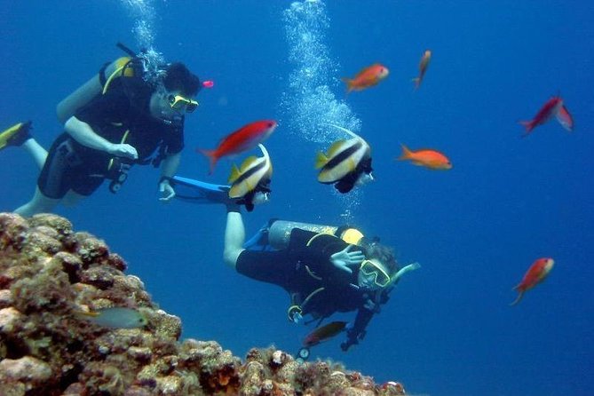 Scuba Diving Tour From Kusadasi / Selcuk - Who This Experience Fits Best (and Who Should Rethink It)